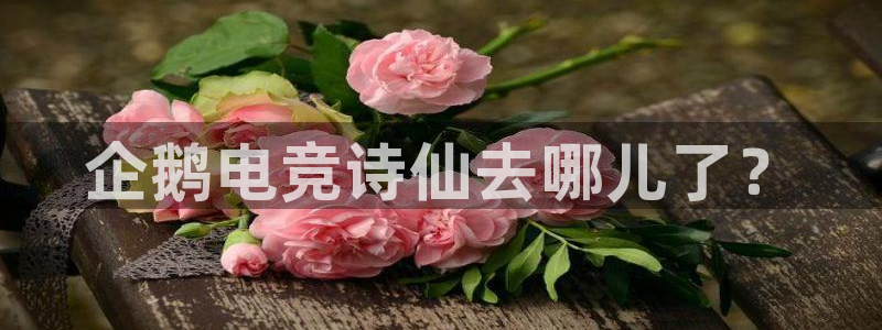 安博电竞平台平台怎么样：企鹅电竞诗仙去哪儿了？