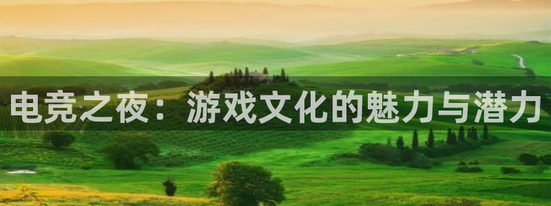 安博电竞提现要求多久到账：电竞之夜：游戏文化的魅力与潜力