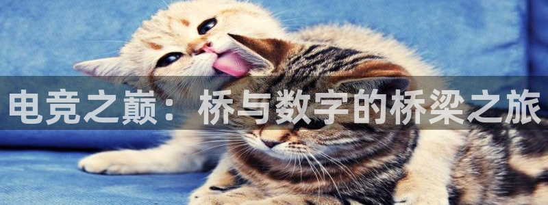 anggame安博电竞：电竞之巅：桥与数字的桥梁之旅