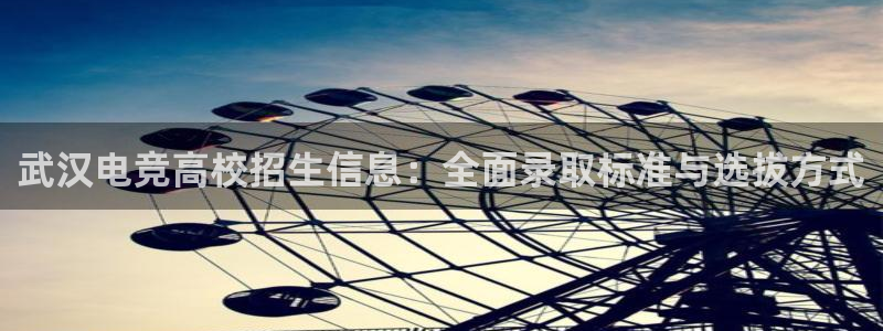 安博电竞app官网下载安装：武汉电竞高校招生信息：全面录取标准与选拔方式
