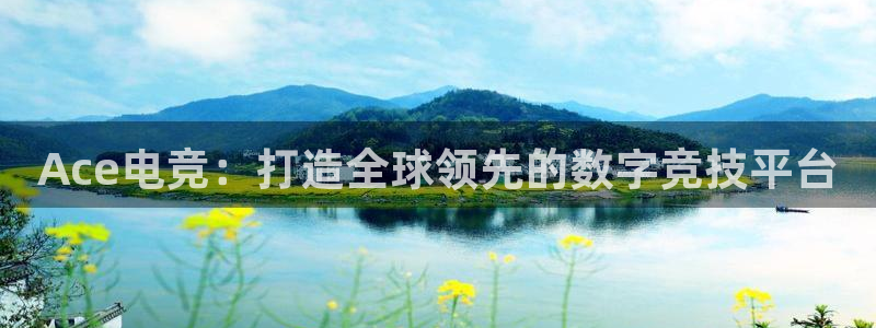 安博电竞地址是什么：Ace电竞：打造全球领先的数字竞技平台