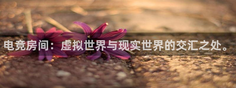 安博电竞提款要多久：电竞房间：虚拟世界与现实世界的交汇之处。