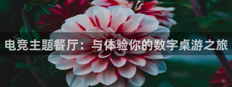安博电竞网上官网是正品吗：电竞主题餐厅：与体验你的数字桌游之旅