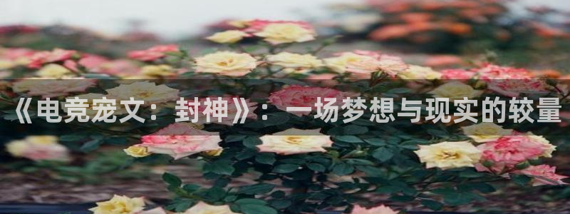 安博电竞入口官网：《电竞宠文：封神》：一场梦想与现实的较量